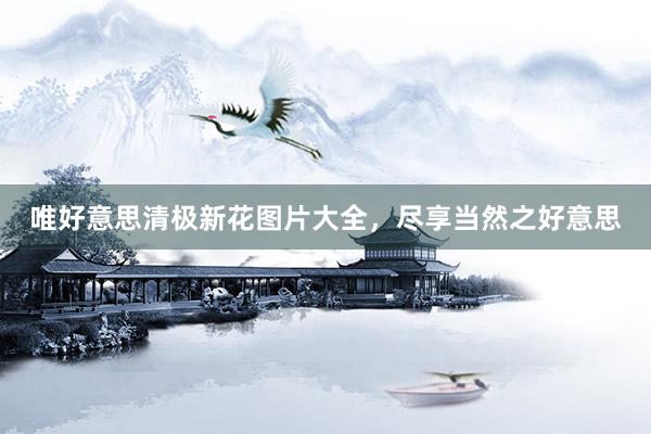 唯好意思清极新花图片大全，尽享当然之好意思