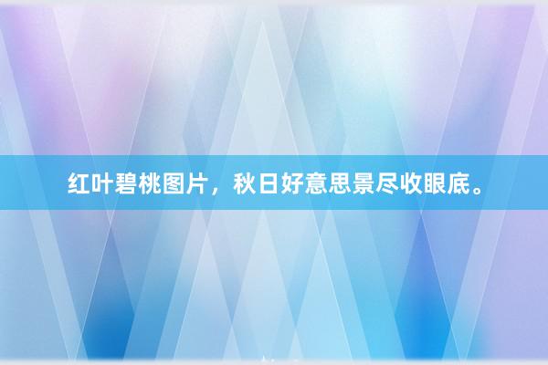红叶碧桃图片，秋日好意思景尽收眼底。