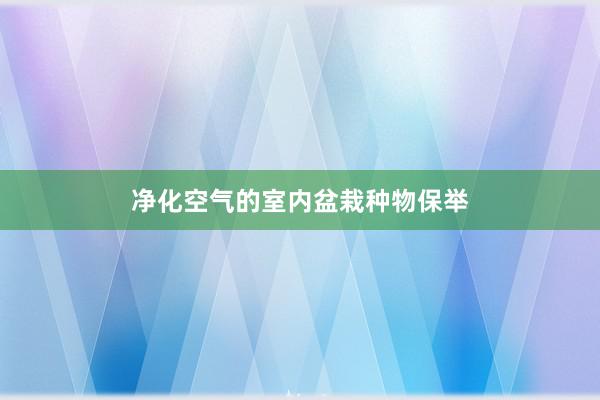 净化空气的室内盆栽种物保举